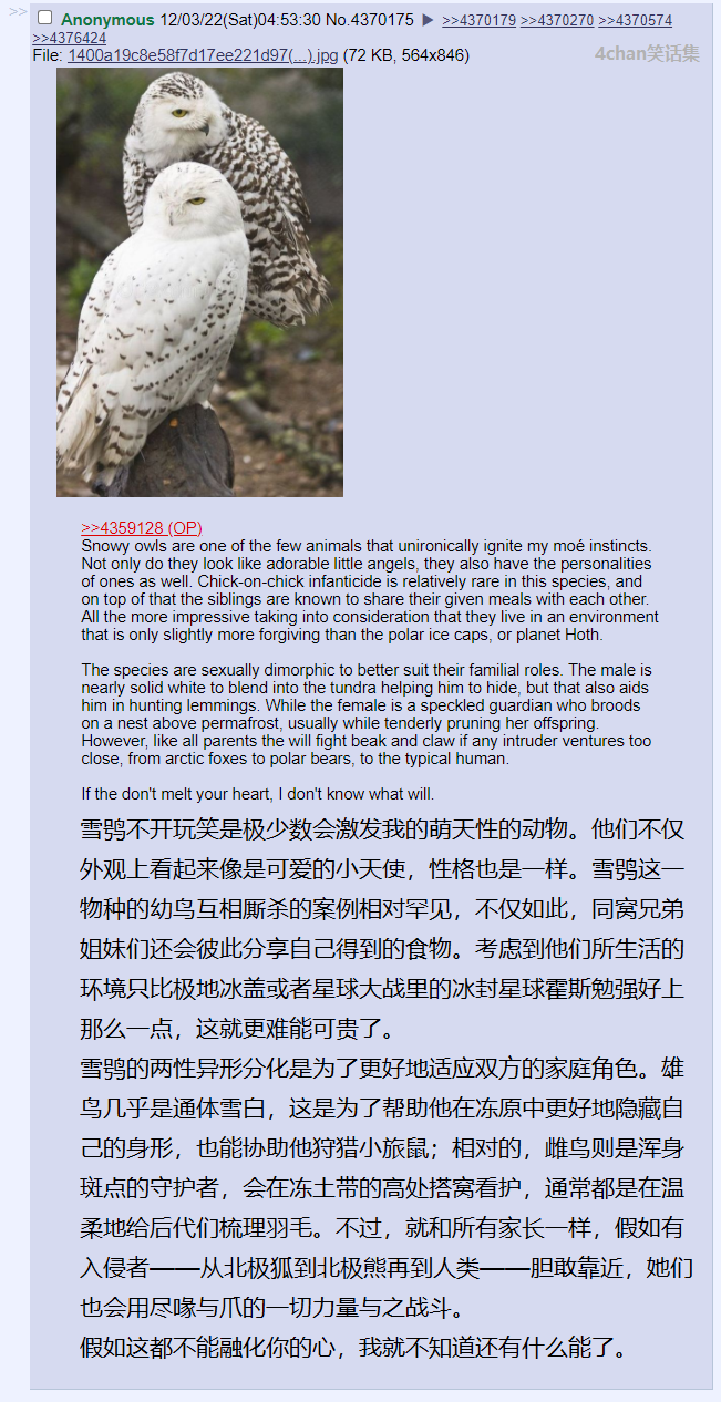 天造地设.png