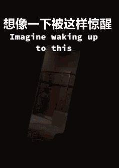 暗夜惊魂.gif