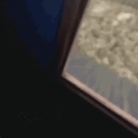犯人在这.gif