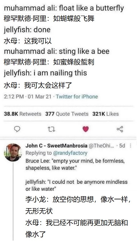 多才多艺.jpg