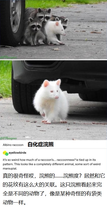 贴图丢失.jpg
