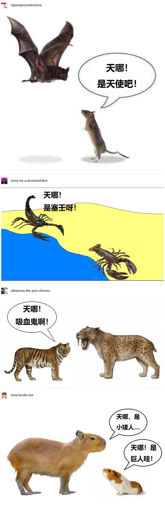 神话起源.jpg