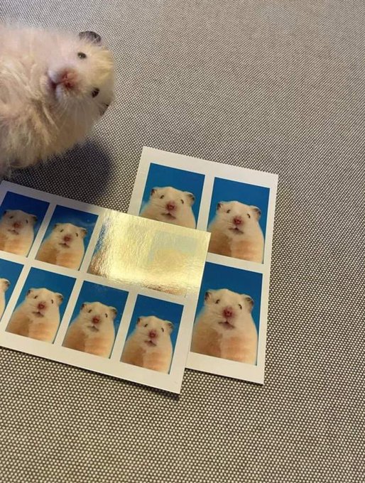 身份证件.jpg