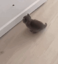 准备充分.gif